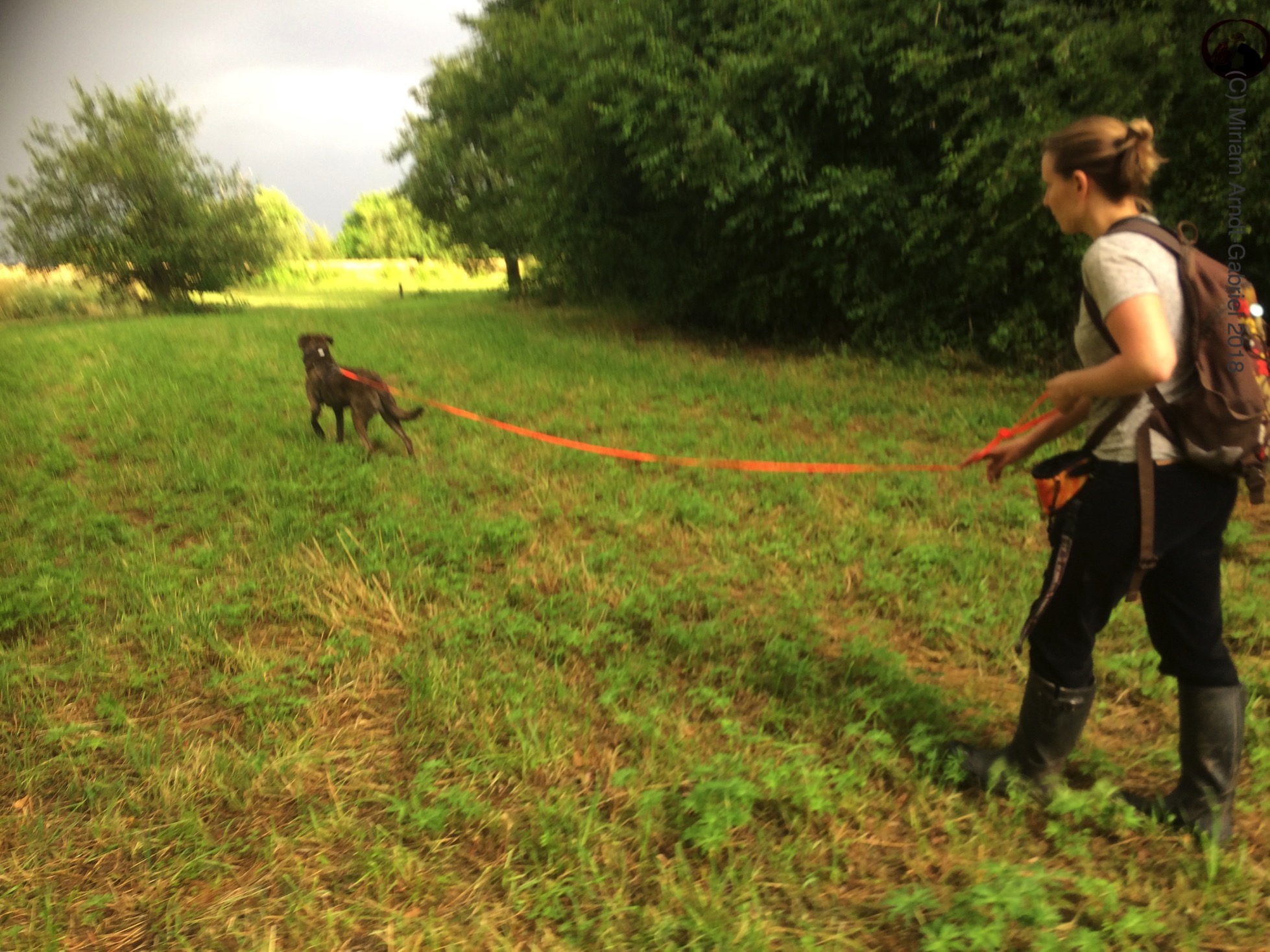 hundephilosophin18117 › Die Hundephilosophin Hundeschule