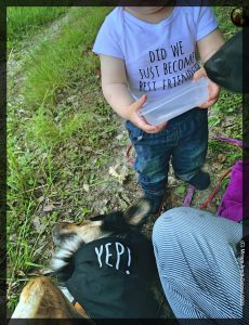 hundephilosophin2006